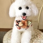犬ふわふわ和柄リボンチョーカー《和装用レッド》　犬用猫用アクセサリー　写真撮影　トリミング　首飾り　ヘッドアクセ　ベビーヘッドドレス