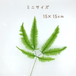 ミニ山シダ＊グリーン＊＜プリザーブドフラワー＞