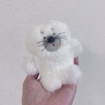 トイざらし　あざらしのぬいぐるみ