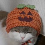 🎃かぼちゃお化けのかぶり物
