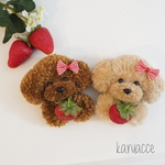 【受注製作】苺を持ったトイプードルのブローチ🍓