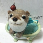 沐浴中のカワウソ君