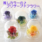 プリザーブドフラワー 誕生日 花 推し 推し活 推しカラー 推し花 推し色 プレゼント プチギフト 母の日 赤 黄色 紫 緑 青 女性 還暦 古希 喜寿 傘寿 米寿 推しドーム