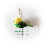 小鳥ストラップ♡インコ 編みぐるみ