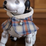 ウインターケープ2024☆タータンベージュ