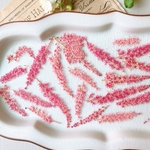 【押し花素材】アスチルベ　ミニ　着色レッド　pressed flowers