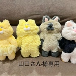 専用ページ