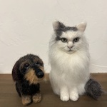 ✿F様　オーダー　ダックス＆ねこちゃん✿ 羊毛フェルト　