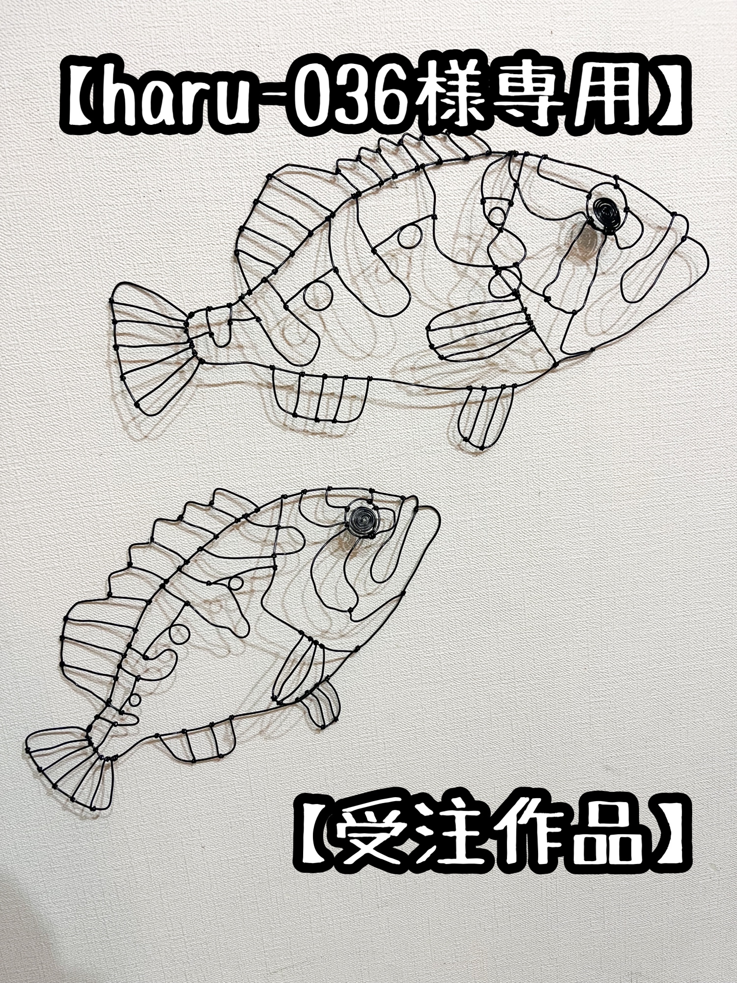 魚壁飾り　カスミアジ（額装無し）在庫現品のみ❗️ 魚壁飾り カスミアジ（額装無し）在庫現品のみ❗️