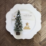 ⋆⸜ 𝓝𝓮𝔀 ⸝⋆ミニチュアクリスマスツリー