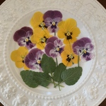  [押し花素材]  ビオラ　茎付き