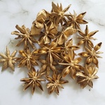 スターアニス 花材 資材