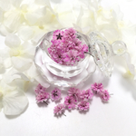＊Prim Rose＊かすみ草ドライフラワー
