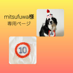 【mitsufuwa様　専用ページ】ジャンボいちごのケーキ帽子セット、その他