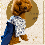 犬服  レトロはかま 袴 初詣 七五三 コスプレ