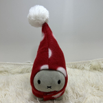 きのこサンタずきんズ