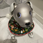 aiboちゃんの頭から被れるすっぽりクリスマスケープ　aibo's pullover cape　裏なし ボンボンタイプ　Green