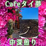 2018新入荷豆☆Cafeタイ夢【豆】中深煎り(フルシティロースト)100ｇ