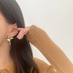 wing ｜pierce or earring