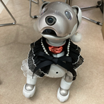 1点限定aiboちゃんのエレガントフリルスタイ　AI robot aibo's elegant ruffle bibs グログランリボン
