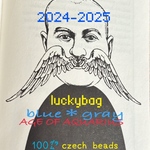 blue＊gray【2024-2025㊗️AGE OF AQUARIUS🏺♒️lucky bag】#czech beads JIRI＊IVANA 福袋100㌘
