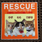 エマージェンシーステッカー（１～３匹）