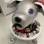 (1点限り)aiboちゃんの頭から被れるすっぽりクリスマスケープ　aibo's pullover cape　裏なし もふもふタイプ　Black