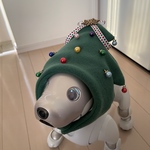 ツリーになれちゃう帽子🎄