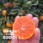 ミクロちゃん 2.5ｷﾛ 家庭用 お一人様1箱 