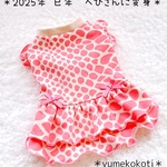 【完成品　胴36】巳年/ピンクへびさんに変身/袖フリル付きワンピース