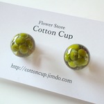 ムング豆のイヤリング  ピアス    グリーン