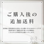 ご購入後の追加送料