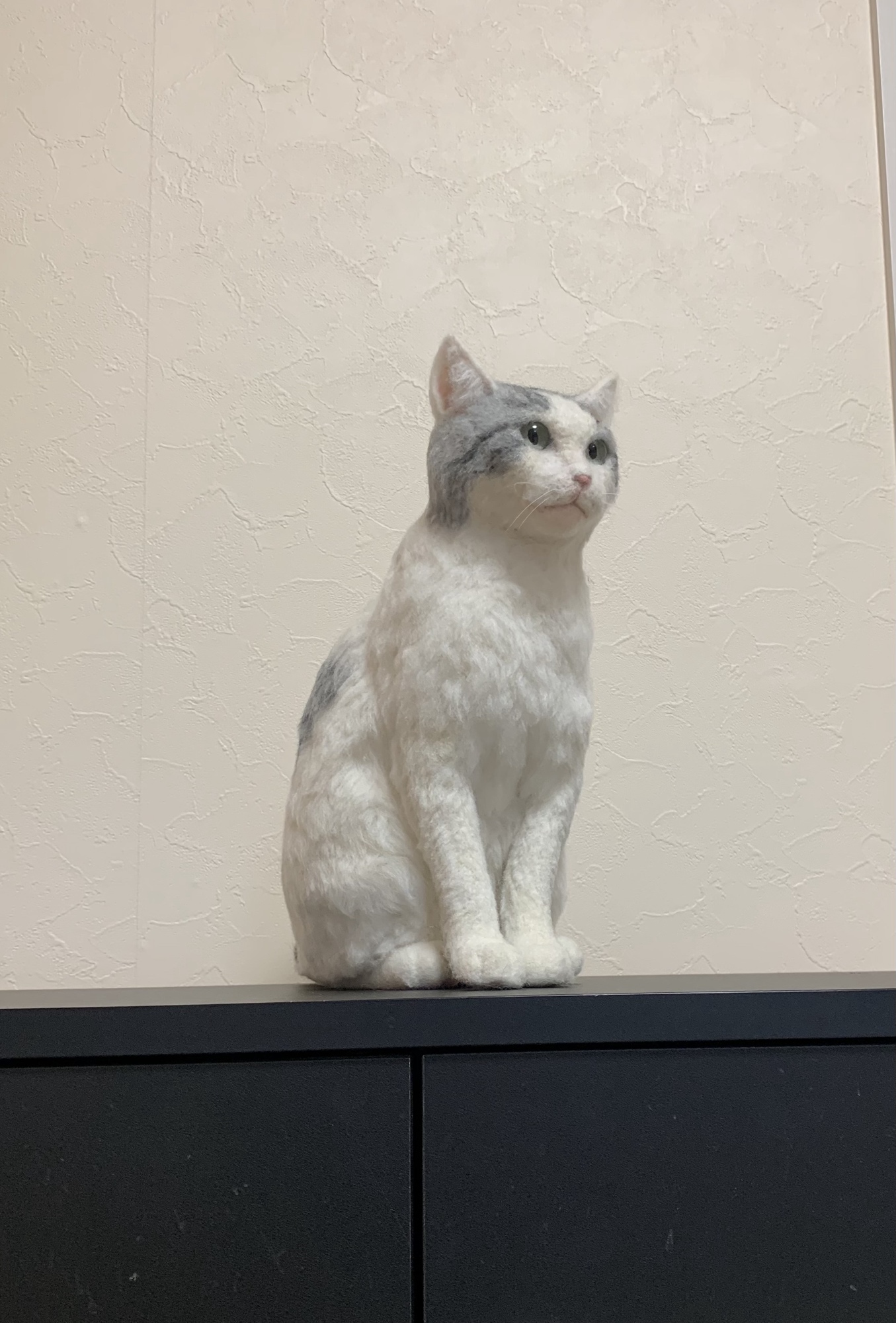 羊毛フェルト 猫 オーダーメイド ぬいぐるみ そっくり リアル ペット 羊毛フェルト 猫 オーダーメイド ぬいぐるみ そっくり リアル ペット