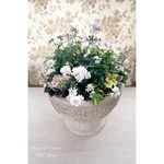 Damask Cup 寄せ植え〜Pink fantasy ・･.｡ *