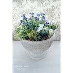 Damask Cup 寄せ植え〜Blue fantasy ・･.｡ *