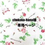 ❤️chokoko-hana様専用ページ❤️