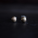 ナナホシテントウピアス(brass)