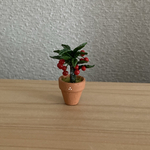 万両　赤　ちびっこ花鉢1