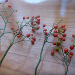 野ばらの赤い実　10本