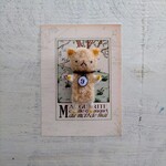 (送料込) ナンバープレートベア　(ピーチベージュ)  