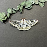 手描きのEmperor mothのブローチ　クジャクヤママユ