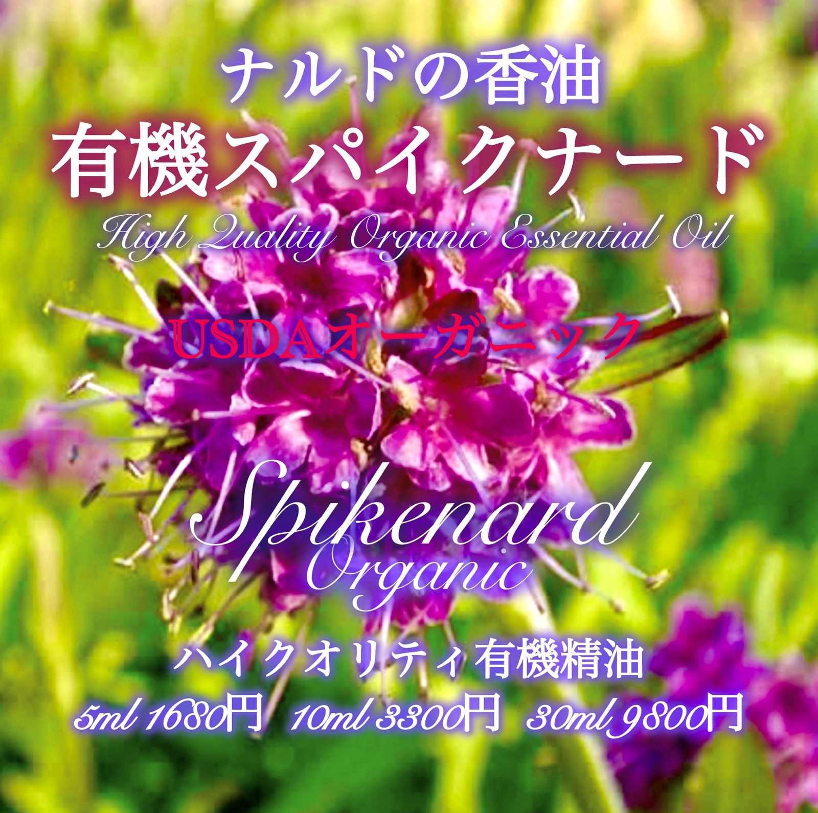 【ナルドの香油】有機スパイクナード精油10ml