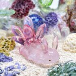 Uo387［クォーツ］宇宙を宿すガラスのウミウシ