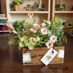 Petit Green Arrange 43