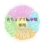 あちょゴリ様専用🌼*･