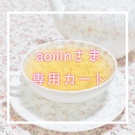  【専用出品】♡aoiiinさま専用カート♡