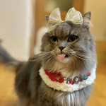 ねこちゃん用スタイ　クリスマス