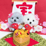 ♡kogonta様専用ページ♡