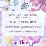 ｓ様専用【オーダー】かすみ草ドライ