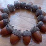 【2025年収穫】日焼けしたドングリ　15個